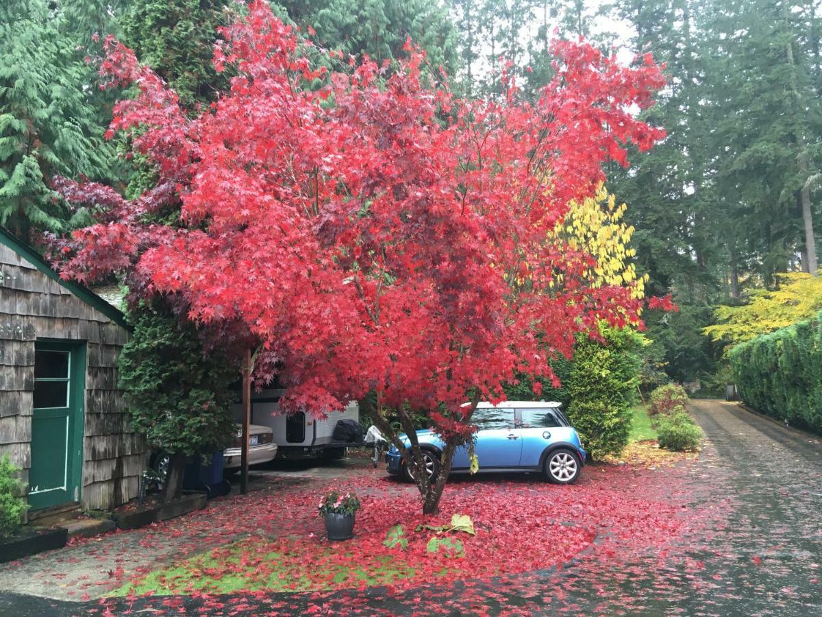 Cottage Lake Bed And Breakfast Woodinville Exterior foto